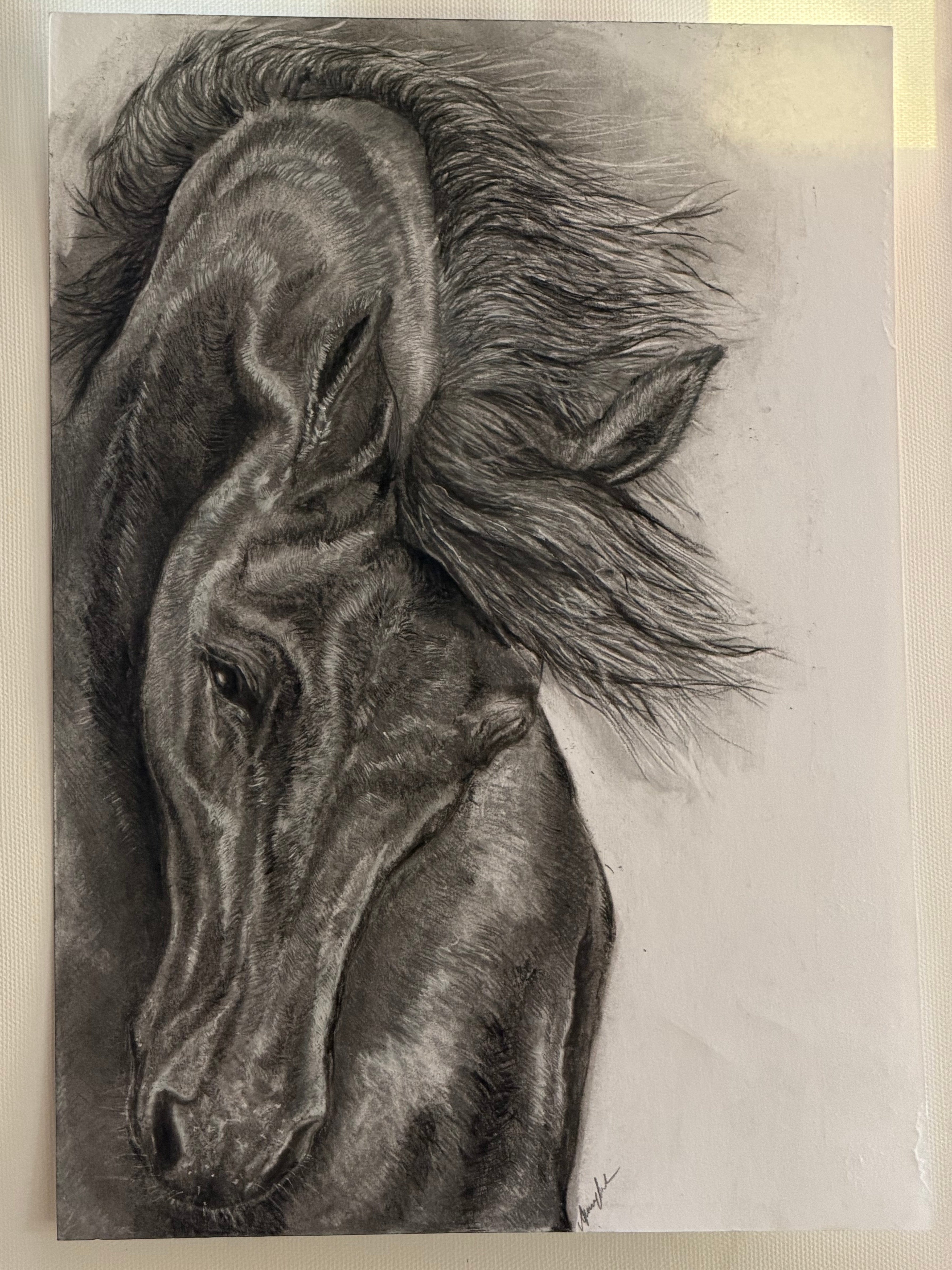 Horse Drawing
